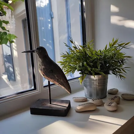 펜션 Maison De Charme Proche Et Foret A Pied Grand-Village-Plage